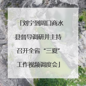 刘宁到周口商水县督导调研并主持召开全省“三夏”工作视频调度会