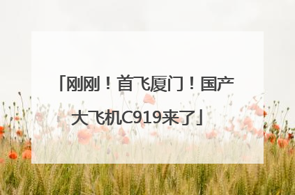 刚刚！首飞厦门！国产大飞机C919来了