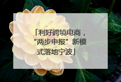 利好跨境电商，“两步申报”新模式落地宁波