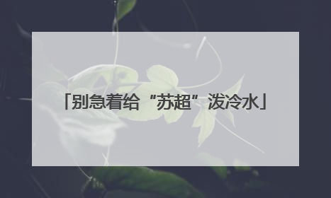 别急着给“苏超”泼冷水