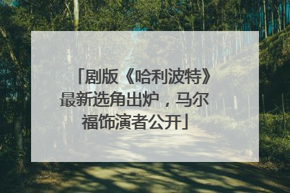 剧版《哈利波特》最新选角出炉，马尔福饰演者公开
