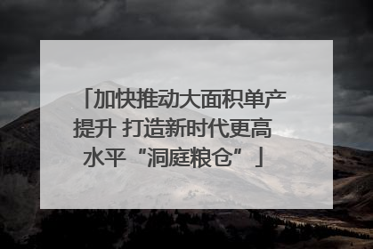 加快推动大面积单产提升 打造新时代更高水平“洞庭粮仓”