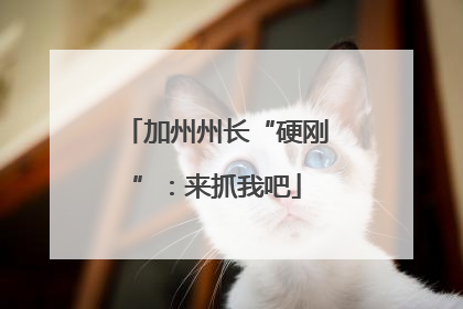 加州州长“硬刚”：来抓我吧