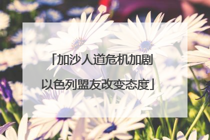 加沙人道危机加剧 以色列盟友改变态度
