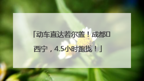 动车直达若尔盖！成都⇄西宁，4.5小时跑拢！