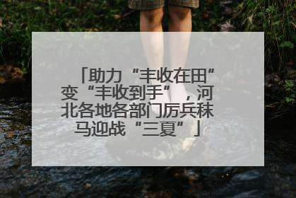 助力“丰收在田”变“丰收到手”，河北各地各部门厉兵秣马迎战“三夏”