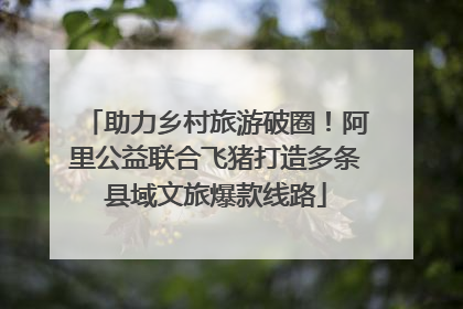 助力乡村旅游破圈！阿里公益联合飞猪打造多条县域文旅爆款线路