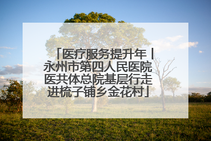 医疗服务提升年丨永州市第四人民医院医共体总院基层行走进梳子铺乡金花村