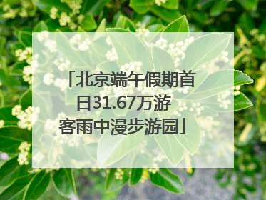 北京端午假期首日31.67万游客雨中漫步游园