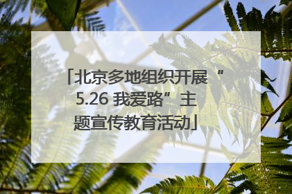 北京多地组织开展“5.26 我爱路”主题宣传教育活动