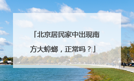 北京居民家中出现南方大蟑螂，正常吗？