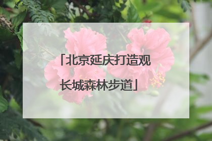 北京延庆打造观长城森林步道
