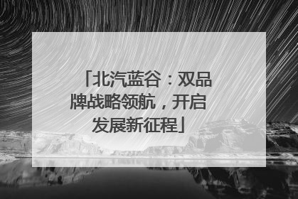 北汽蓝谷：双品牌战略领航，开启发展新征程