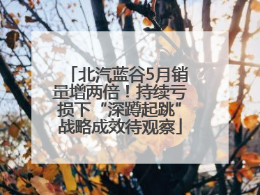 北汽蓝谷5月销量增两倍！持续亏损下“深蹲起跳”战略成效待观察