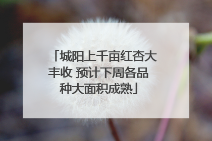 城阳上千亩红杏大丰收 预计下周各品种大面积成熟