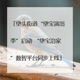 垡头街道“垡宝演出季”启动 “垡宝治家”数智平台同步上线