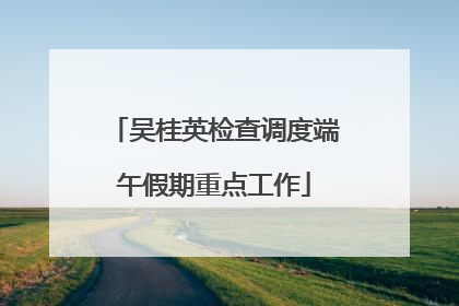 吴桂英检查调度端午假期重点工作