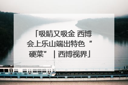 吸睛又吸金 西博会上乐山端出特色“硬菜”｜西博视界