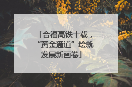 合福高铁十载，“黄金通道”绘就发展新画卷