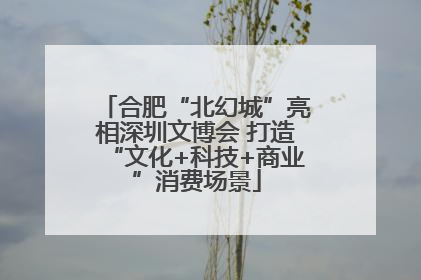 合肥“北幻城”亮相深圳文博会 打造“文化+科技+商业”消费场景