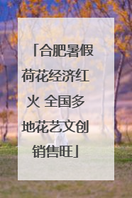 合肥暑假荷花经济红火 全国多地花艺文创销售旺