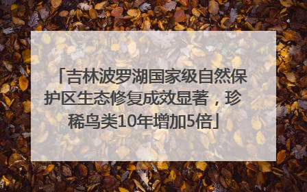 吉林波罗湖国家级自然保护区生态修复成效显著，珍稀鸟类10年增加5倍
