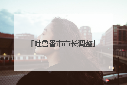吐鲁番市市长调整