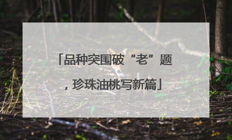 品种突围破“老”题，珍珠油桃写新篇