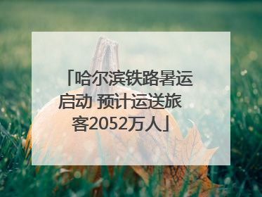 哈尔滨铁路暑运启动 预计运送旅客2052万人