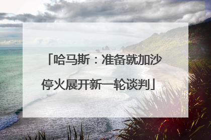 哈马斯：准备就加沙停火展开新一轮谈判