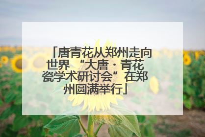 唐青花从郑州走向世界 “大唐・青花瓷学术研讨会”在郑州圆满举行
