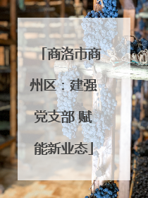 商洛市商州区：建强党支部 赋能新业态