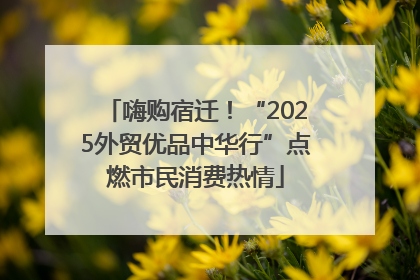 嗨购宿迁！“2025外贸优品中华行”点燃市民消费热情
