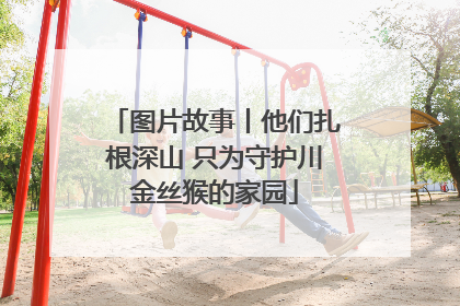 图片故事丨他们扎根深山 只为守护川金丝猴的家园
