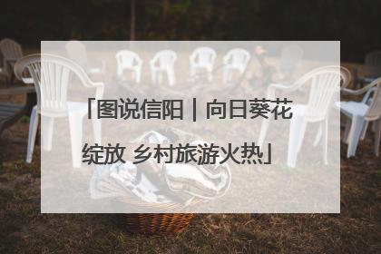 图说信阳｜向日葵花绽放 乡村旅游火热