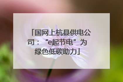 国网上杭县供电公司：“e起节电”为绿色低碳助力