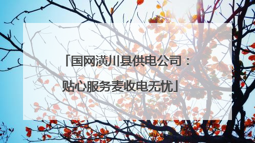 国网潢川县供电公司：贴心服务麦收电无忧