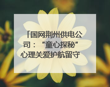 国网荆州供电公司：“童心探秘”心理关爱护航留守儿童成长