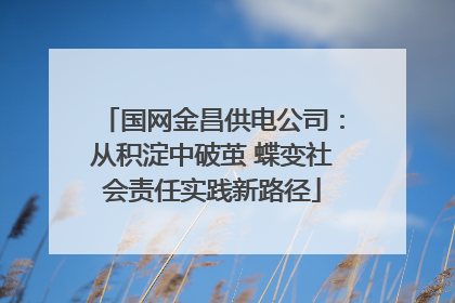 国网金昌供电公司：从积淀中破茧 蝶变社会责任实践新路径
