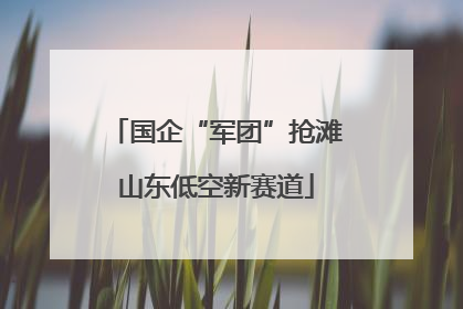 国企“军团”抢滩山东低空新赛道