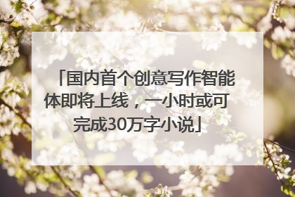 国内首个创意写作智能体即将上线，一小时或可完成30万字小说