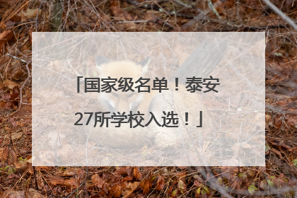 国家级名单！泰安27所学校入选！