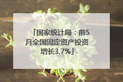 国家统计局：前5月全国固定资产投资增长3.7%