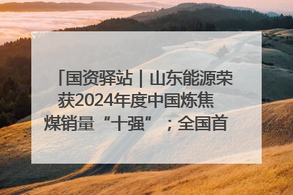 国资驿站｜山东能源荣获2024年度中国炼焦煤销量“十强”；全国首例铁路盖上智慧物流园钢结构主体完工