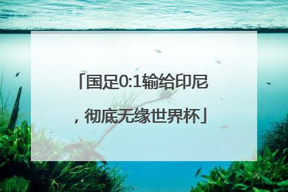 国足0:1输给印尼，彻底无缘世界杯