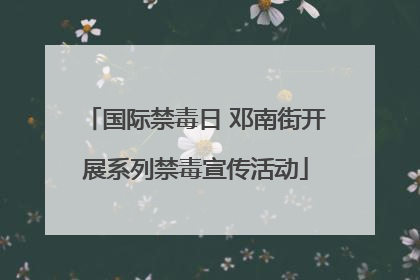 国际禁毒日 邓南街开展系列禁毒宣传活动