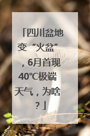 四川盆地变“火盆”，6月首现40℃极端天气，为啥？