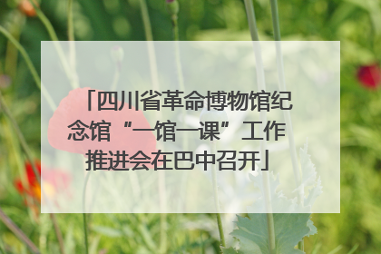 四川省革命博物馆纪念馆“一馆一课”工作推进会在巴中召开
