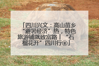 四川兴文：高山苗乡“避暑经济”热，特色旅游铺就致富路丨“石榴花开”四川行⑧