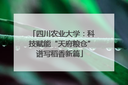 四川农业大学：科技赋能“天府粮仓”谱写稻香新篇